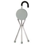 Walking Stick With Chair